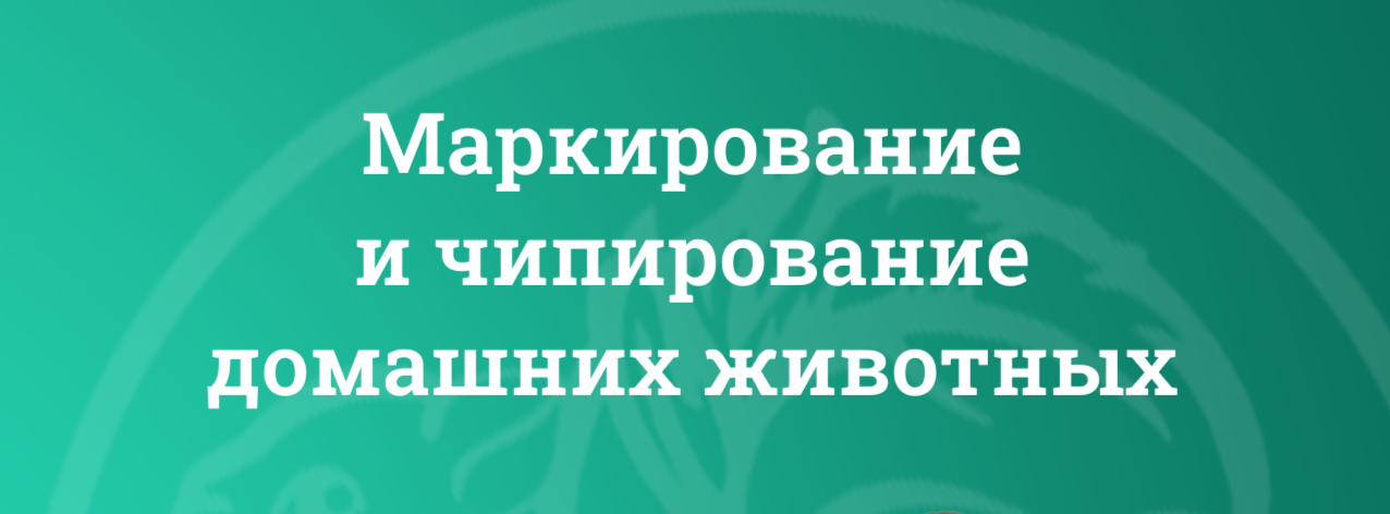 Маркирование и чипирование домашних животных.