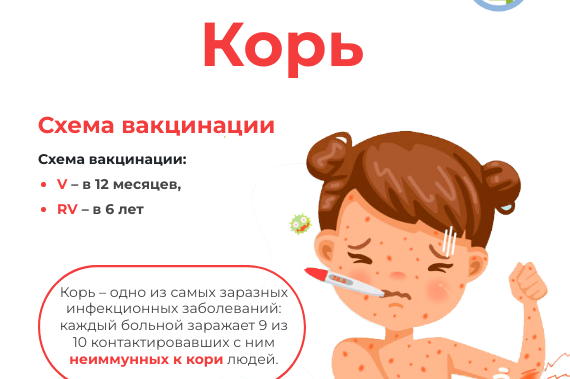 В Российской Федерации проводится кампания по иммунизации против кори.