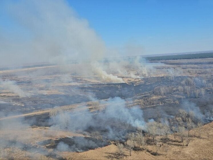 В Алтайском крае отменили противопожарный режим.
