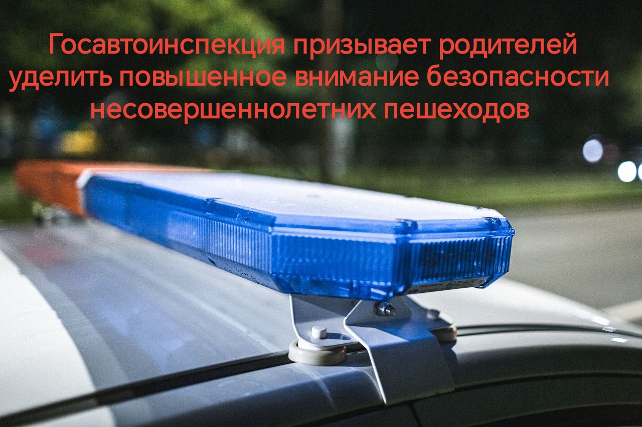 Дорога ждет ответственного пешехода.