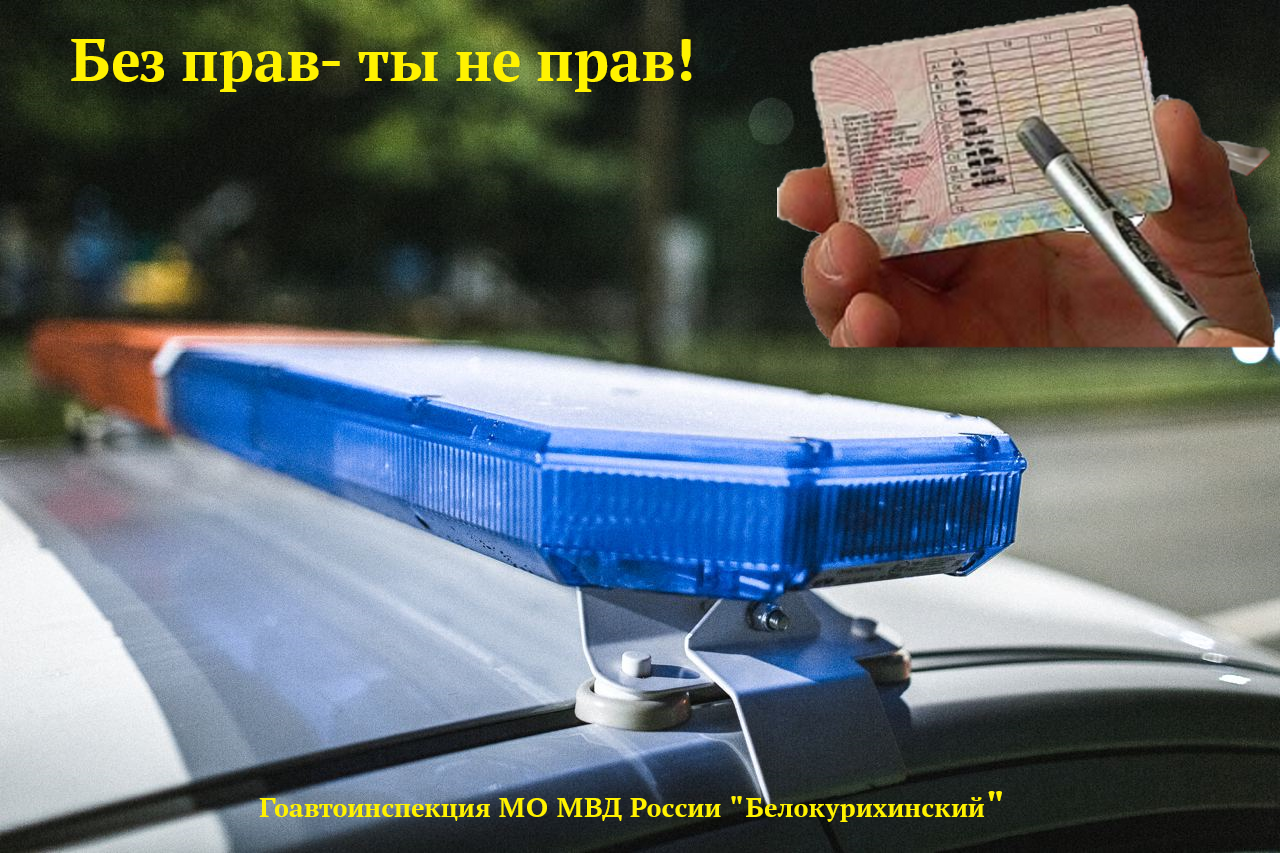 Белокурихинская Госавтоинспекция информирует участников дорожного движения о недопустимости управления транспортными средствами без права управления.