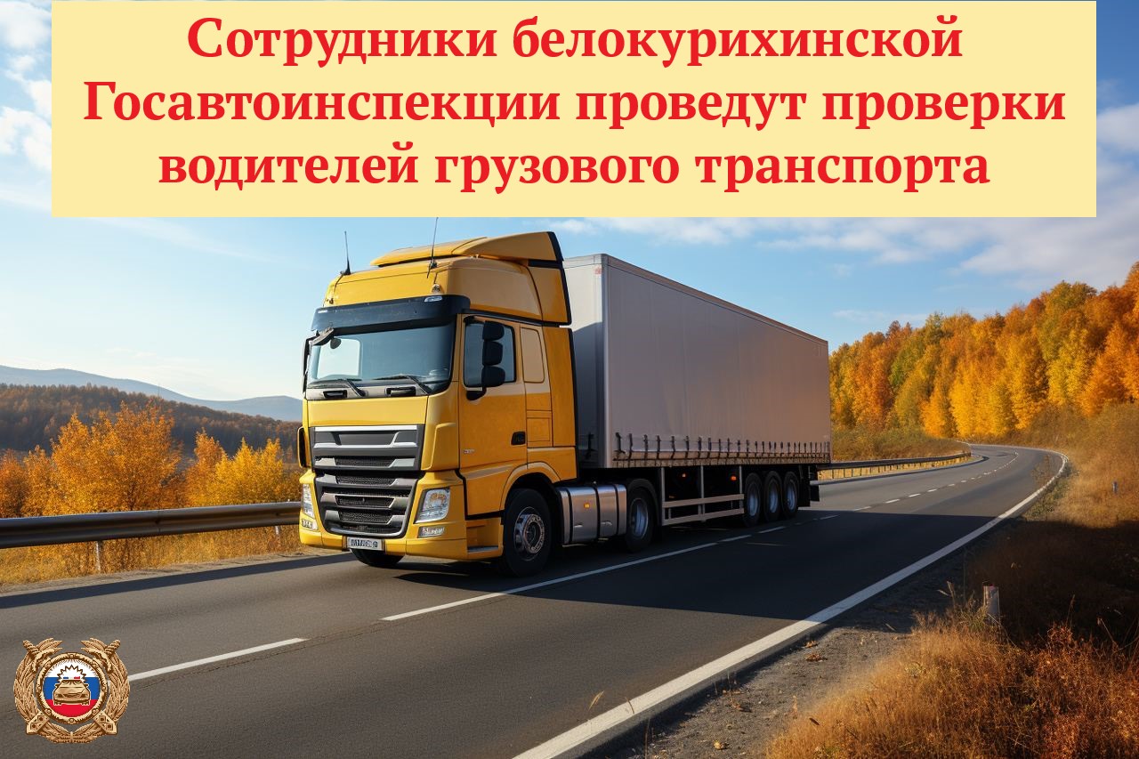 Сотрудники белокурихинской Госавтоинспекции проводят проверки грузовиков.