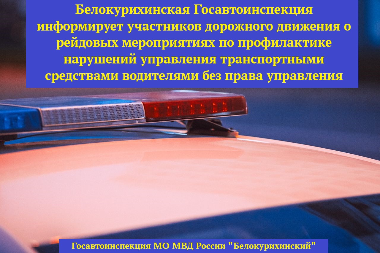 Белокурихинская Госавтоинспекция информирует участников дорожного движения о рейдовых мероприятиях по профилактике нарушений управления транспортными средствами водителями без права управления.