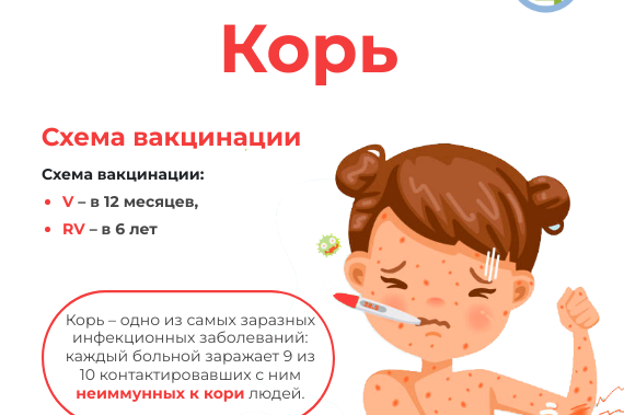 В Российской Федерации проводится кампания по иммунизации против кори. В Российской Федерации проводится кампания по иммунизации против кори.