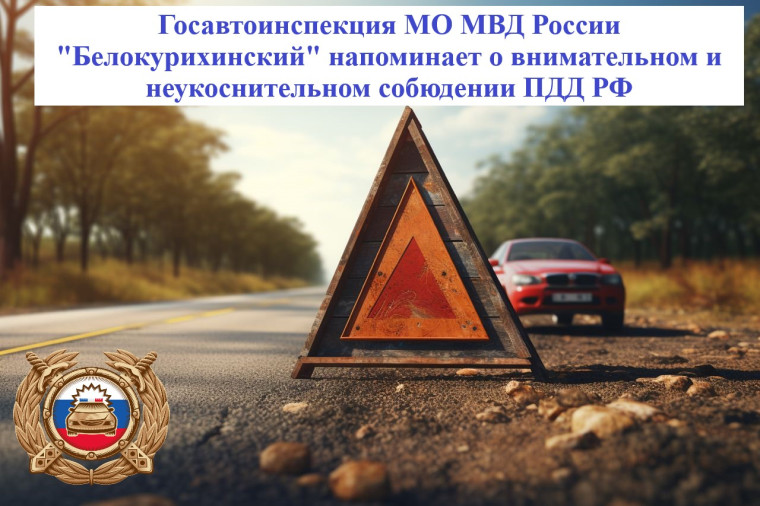 Молодой водитель. Молодой водитель.