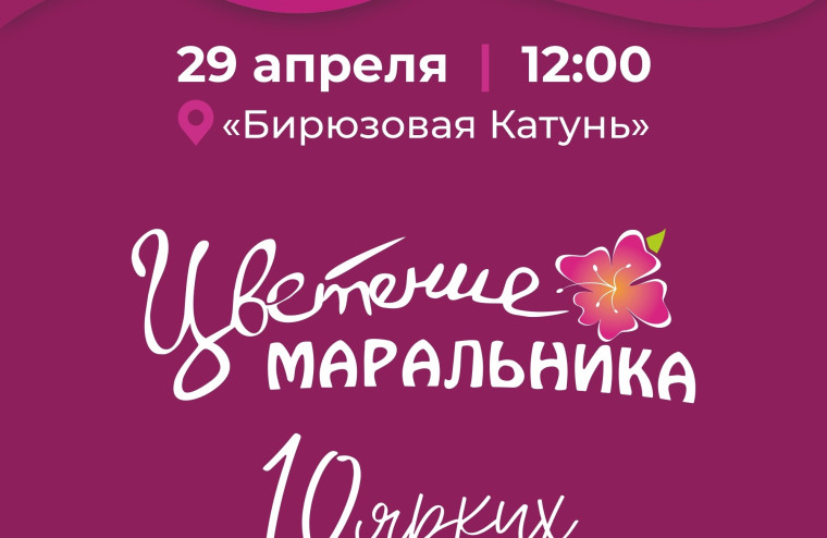 Жителей Белокурихи приглашают на фестиваль «Цветение маральника». Жителей Белокурихи приглашают на фестиваль «Цветение маральника».